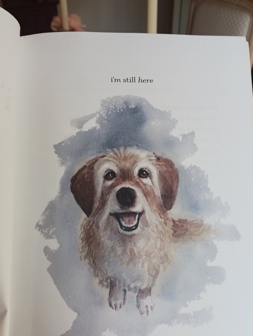 Book- I'm Still here...a Dogs Purpose Forever..(New Book)... - Picture 4 of 12